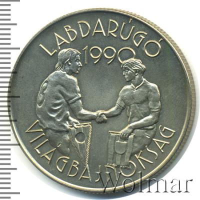 Венгрия 100 форинтов, 1989 (100 форинтов. Венгрия 1989г. Cu-Ni.)